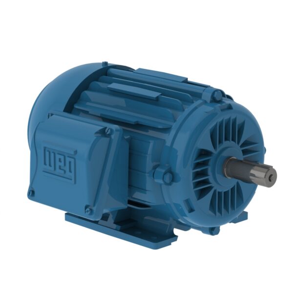 Motor Trifásico